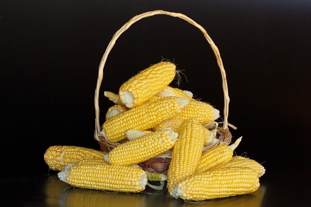 Corn Dream Interpretation